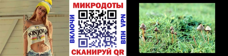 Галлюциногенные грибы мицелий  Клинцы 