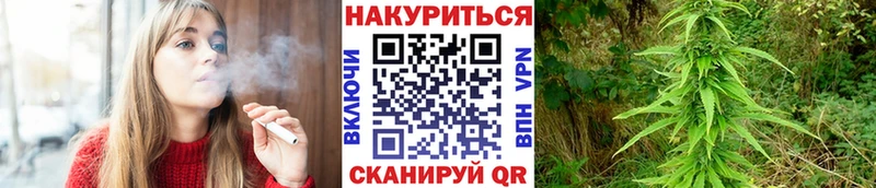 MEGA ссылка  Клинцы  Шишки марихуана конопля 
